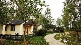 不負春光,合肥周邊十大農家樂良心推薦